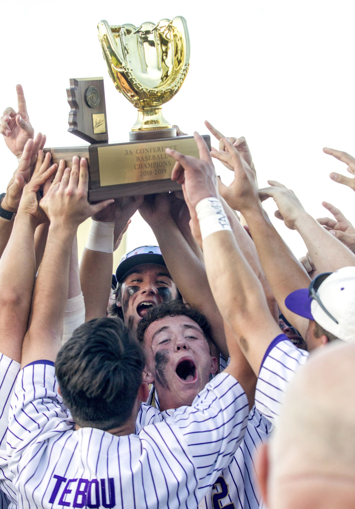 Sabino wins 3A State Baseball Championship